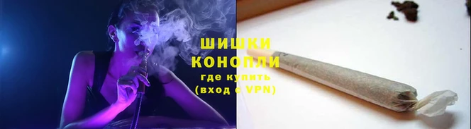 крисы Белоозёрский